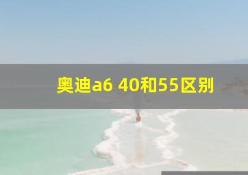 奥迪a6 40和55区别